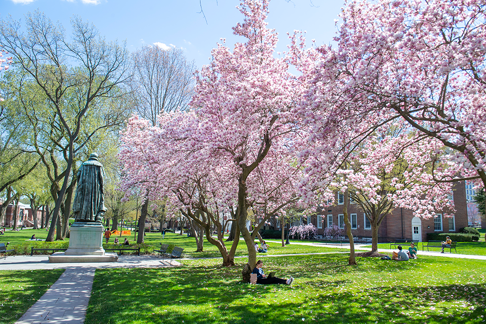 View of trees in the spring on the College Avenue campus